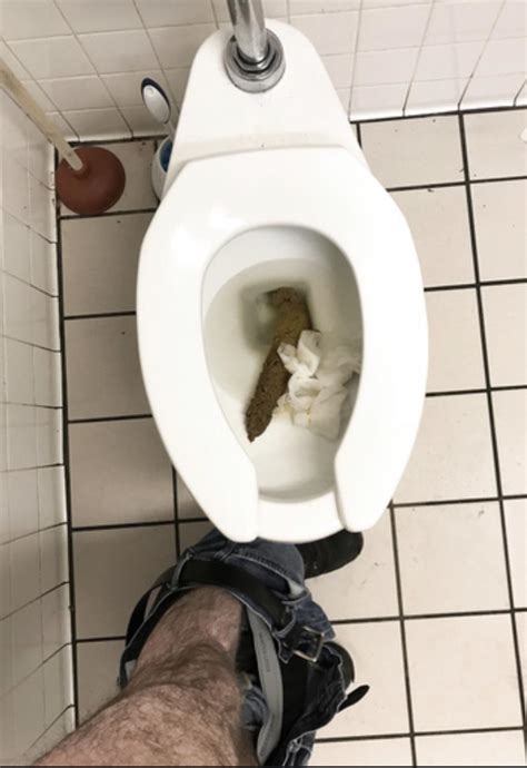 9+ Gay Scat Porn Tubes .